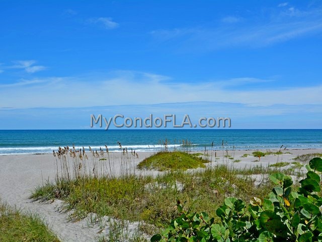 Oceanfront Condos Terry Palmiter RE/MAX
