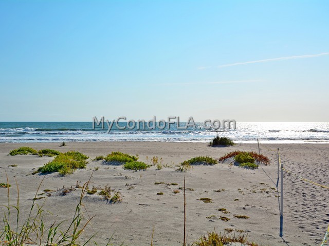 Oceanfront Condos Terry Palmiter RE/MAX