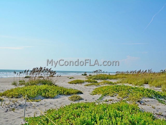 Oceanfront Condos Terry Palmiter RE/MAX