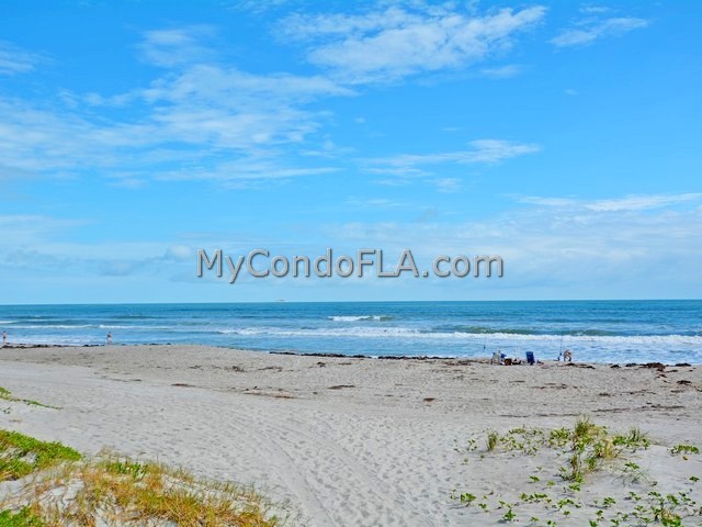 Oceanfront Condos Terry Palmiter RE/MAX