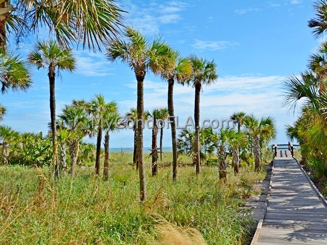 Oceanfront Condos Terry Palmiter RE/MAX