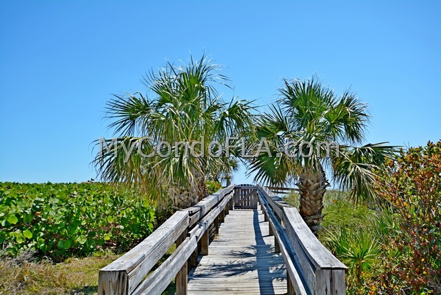 Oceanfront Condos Terry Palmiter RE/MAX