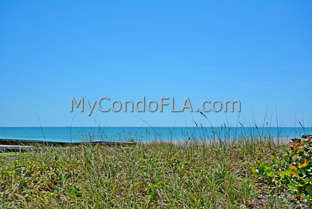 Oceanfront Condos Terry Palmiter RE/MAX