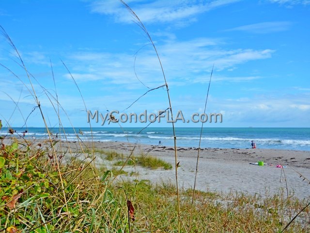 Oceanfront Condos Terry Palmiter RE/MAX