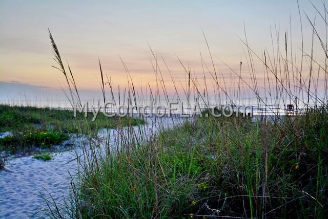 Oceanfront Condos Terry Palmiter RE/MAX