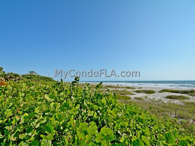 Oceanfront Condos Terry Palmiter RE/MAX