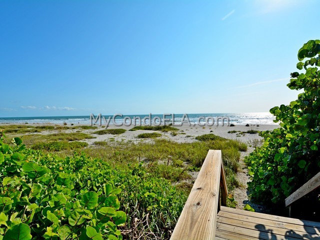 Oceanfront Condos Terry Palmiter RE/MAX