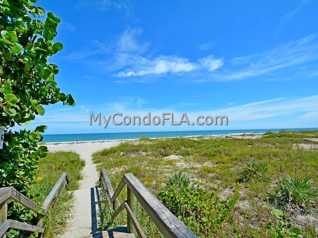 Oceanfront Condos Terry Palmiter RE/MAX