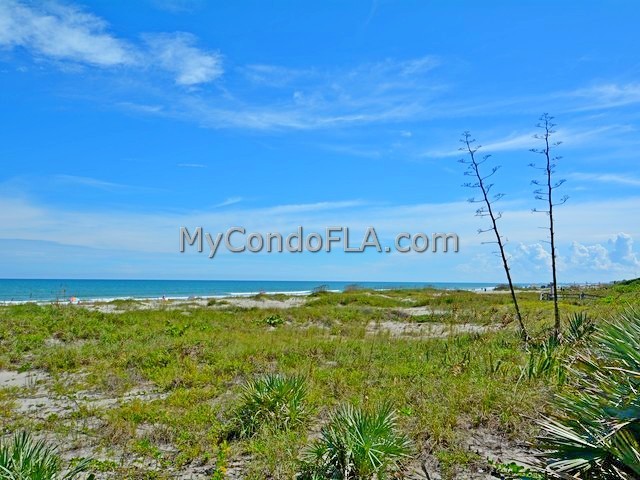 Oceanfront Condos Terry Palmiter RE/MAX