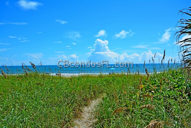Oceanfront Condos Terry Palmiter RE/MAX