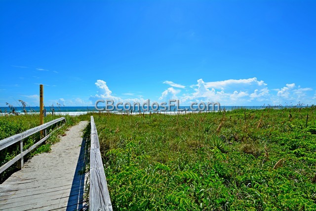 Oceanfront Condos Terry Palmiter RE/MAX