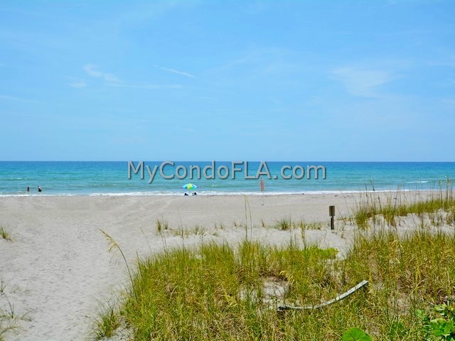 Oceanfront Condos Terry Palmiter RE/MAX