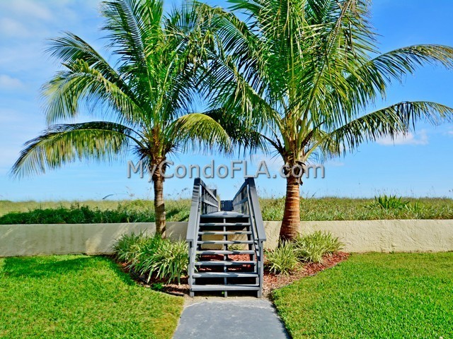 Oceanfront Condos Terry Palmiter RE/MAX