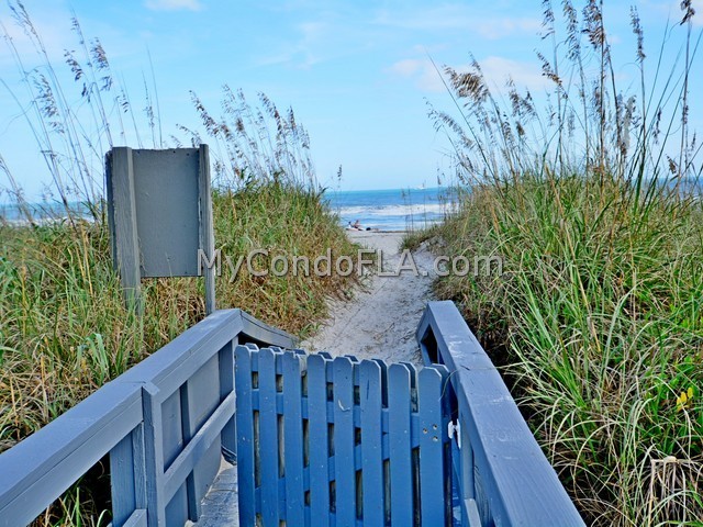 Oceanfront Condos Terry Palmiter RE/MAX