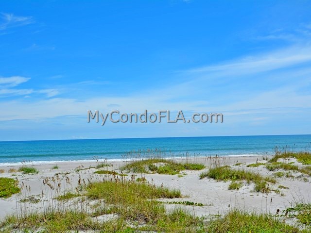 Oceanfront Condos Terry Palmiter RE/MAX