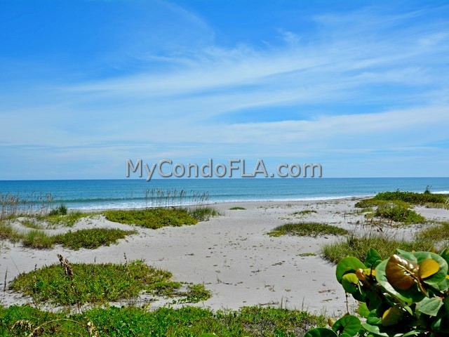Oceanfront Condos Terry Palmiter RE/MAX