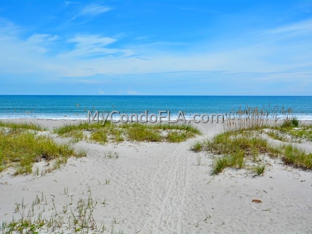 Oceanfront Condos Terry Palmiter RE/MAX