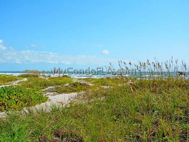 Oceanfront Condos Terry Palmiter RE/MAX
