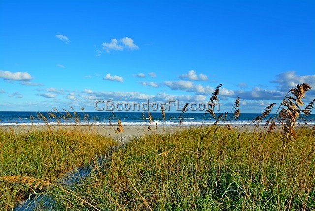 Oceanfront Condos Terry Palmiter RE/MAX