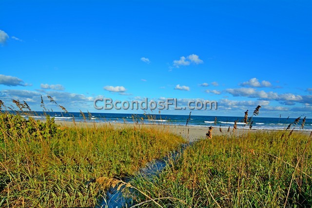 Oceanfront Condos Terry Palmiter RE/MAX
