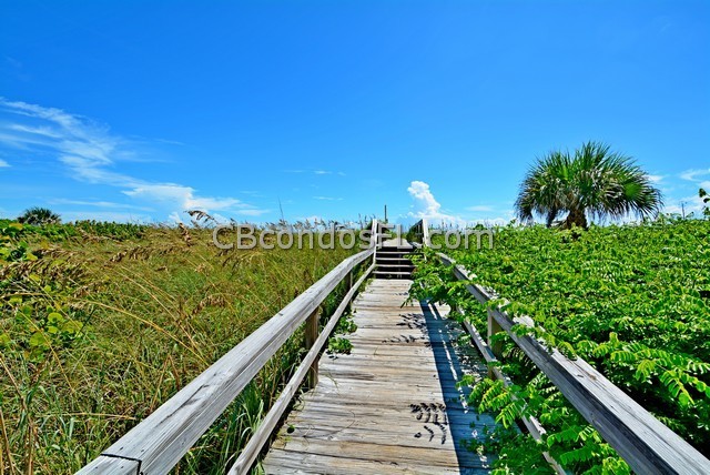 Oceanfront Condos Terry Palmiter RE/MAX