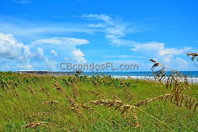 Oceanfront Condos Terry Palmiter RE/MAX