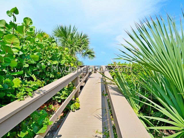 Oceanfront Condos Terry Palmiter RE/MAX