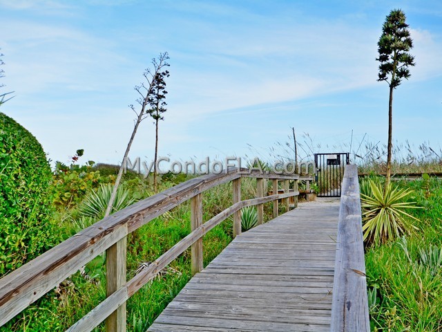 Oceanfront Condos Terry Palmiter RE/MAX
