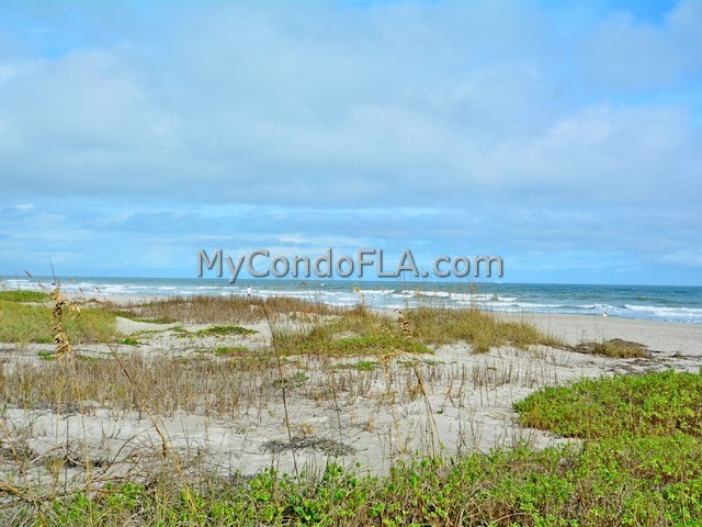 Oceanfront Condos Terry Palmiter RE/MAX