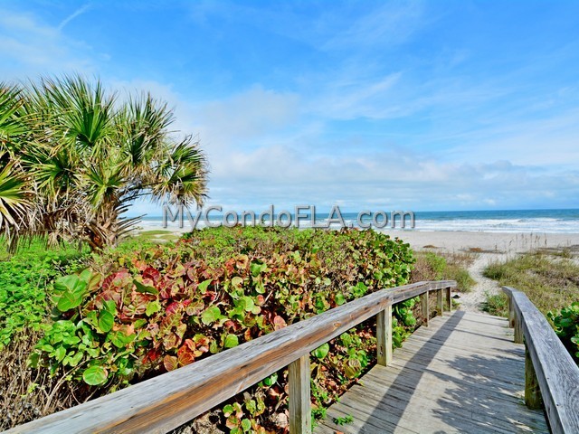 Oceanfront Condos Terry Palmiter RE/MAX