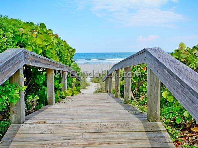 Oceanfront Condos Terry Palmiter RE/MAX