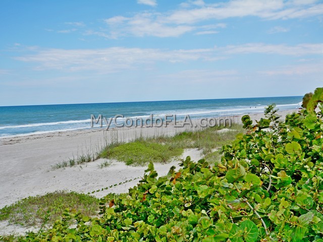 Oceanfront Condos Terry Palmiter RE/MAX