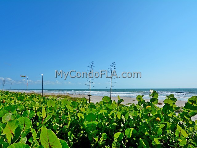 Oceanfront Condos Terry Palmiter RE/MAX