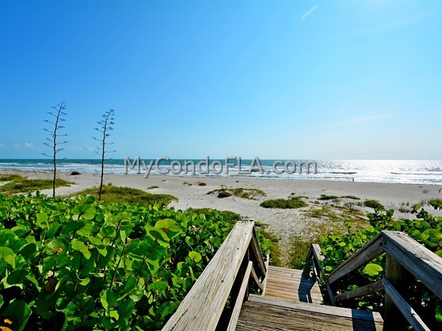 Oceanfront Condos Terry Palmiter RE/MAX