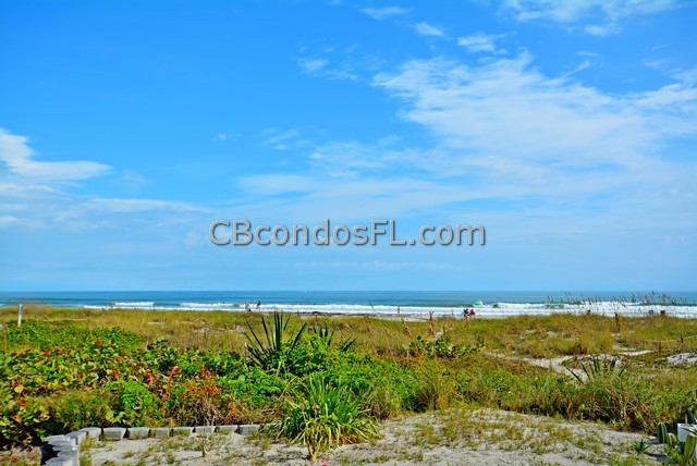 Oceanfront Condos Terry Palmiter RE/MAX