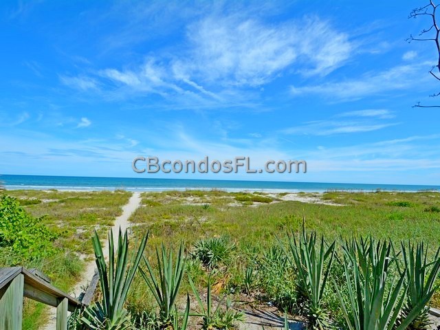 Oceanfront Condos Terry Palmiter RE/MAX