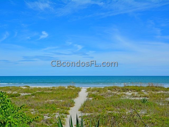 Oceanfront Condos Terry Palmiter RE/MAX