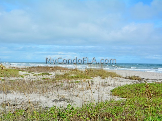 Oceanfront Condos Terry Palmiter RE/MAX