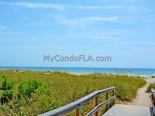 Oceanfront Condos Terry Palmiter RE/MAX