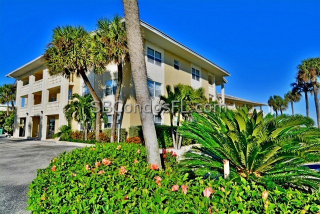Oceanfront Condos Terry Palmiter RE/MAX