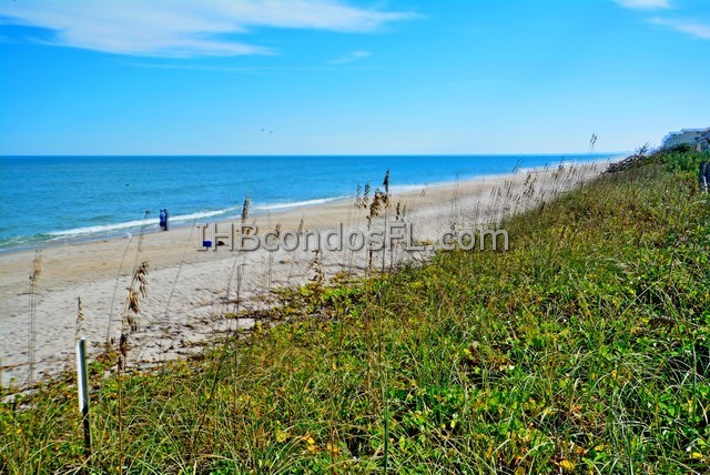 Oceanfront Condos Terry Palmiter RE/MAX