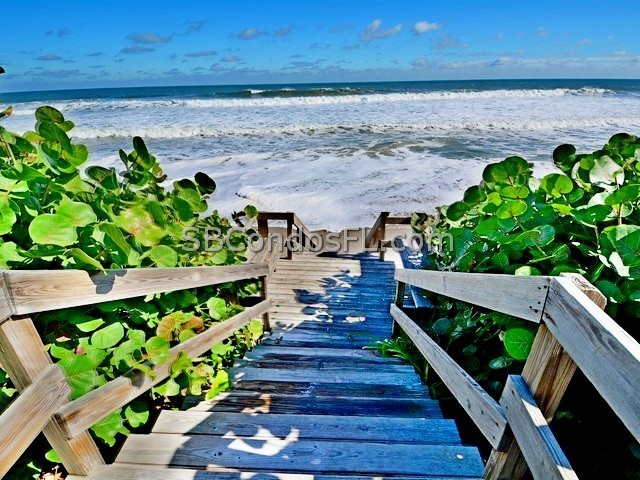 Oceanfront Condos Terry Palmiter RE/MAX
