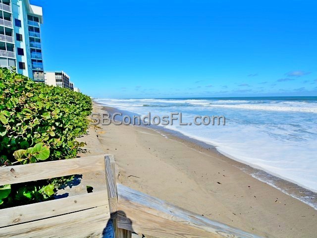 Oceanfront Condos Terry Palmiter RE/MAX