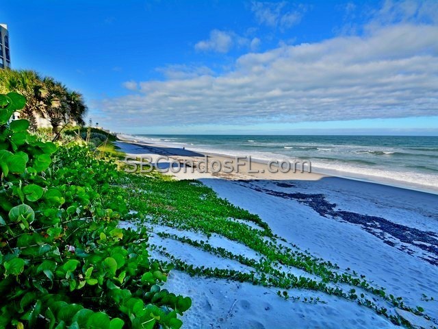 Oceanfront Condos Terry Palmiter RE/MAX