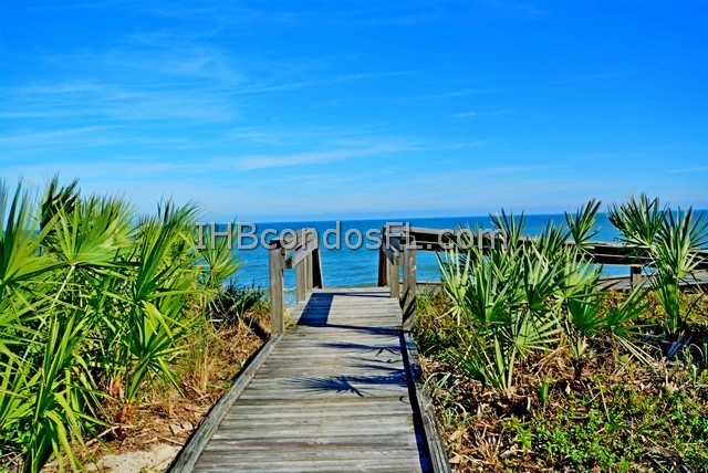 Oceanfront Condos Terry Palmiter RE/MAX