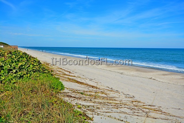 Oceanfront Condos Terry Palmiter RE/MAX