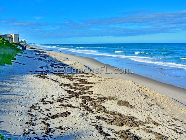 Oceanfront Condos Terry Palmiter RE/MAX