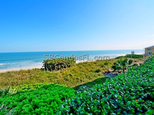Oceanfront Condos Terry Palmiter RE/MAX