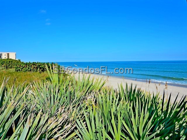 Oceanfront Condos Terry Palmiter RE/MAX