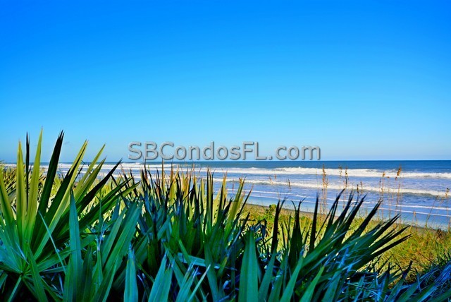 Oceanfront Condos Terry Palmiter RE/MAX
